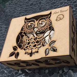 Caja con buho perforado